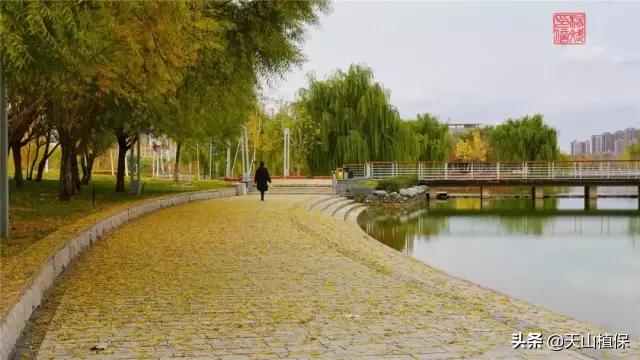 昌吉市最新城市发展规划,乌鲁木齐和昌吉是否相邻