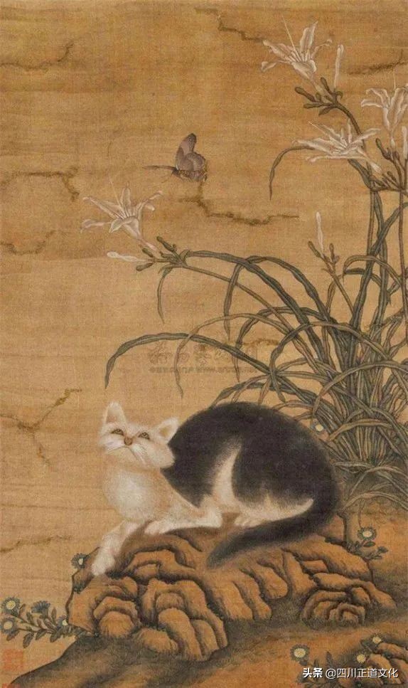 猫的故事,猫的故事视频