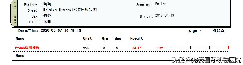 难以言说的疼完整版,猫咪肾结石的症状都有什么