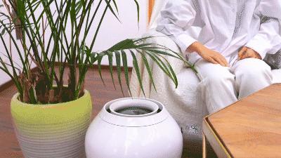 新家必备实用电器,家里哪些电器很实用