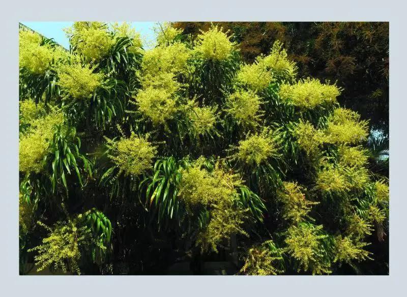 生物物种多样性,生物多样性为何如此丰富