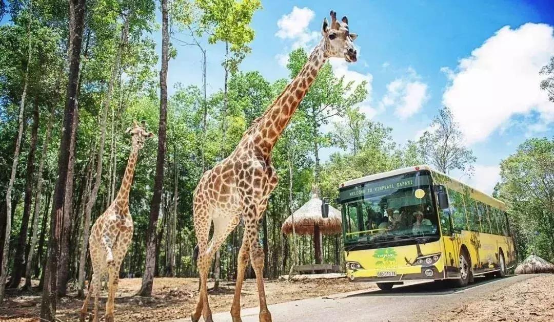 国庆人少自驾游推荐,国庆人少地方旅游推荐