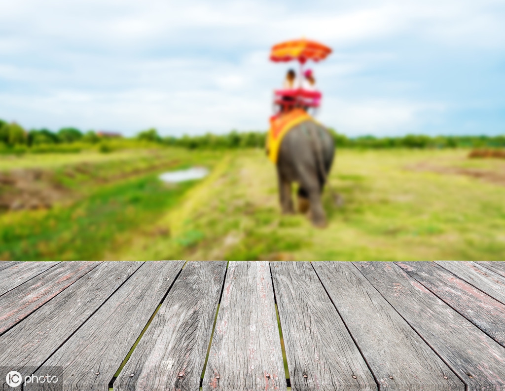 同样是厨师为什么别人炒的菜香,为什么同样是厨师差别那么大