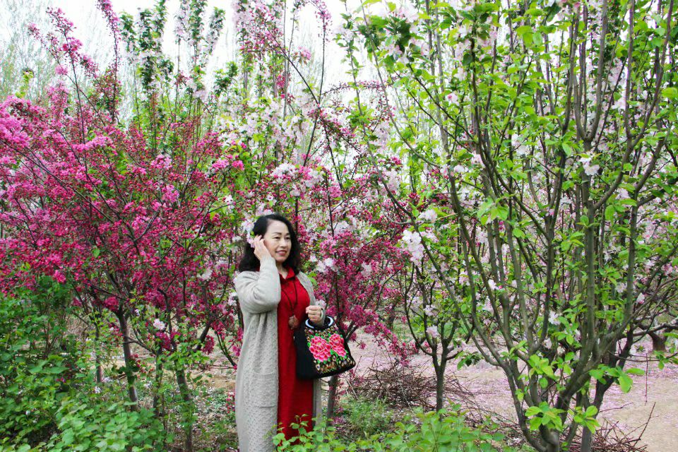 舞动心理治疗厦门,舞动心理治疗