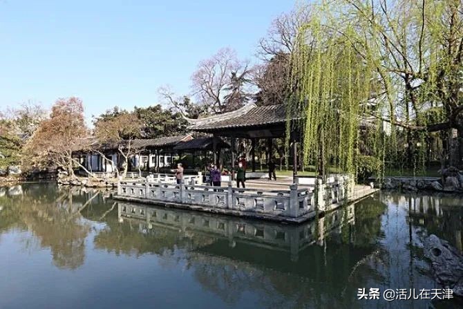 大“疫”灭清，天津2020赏花地图上线！