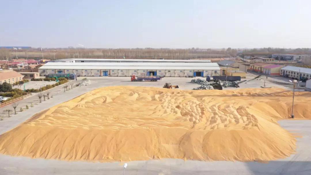 “内蒙古粮仓”通辽市：粮食增产又增收