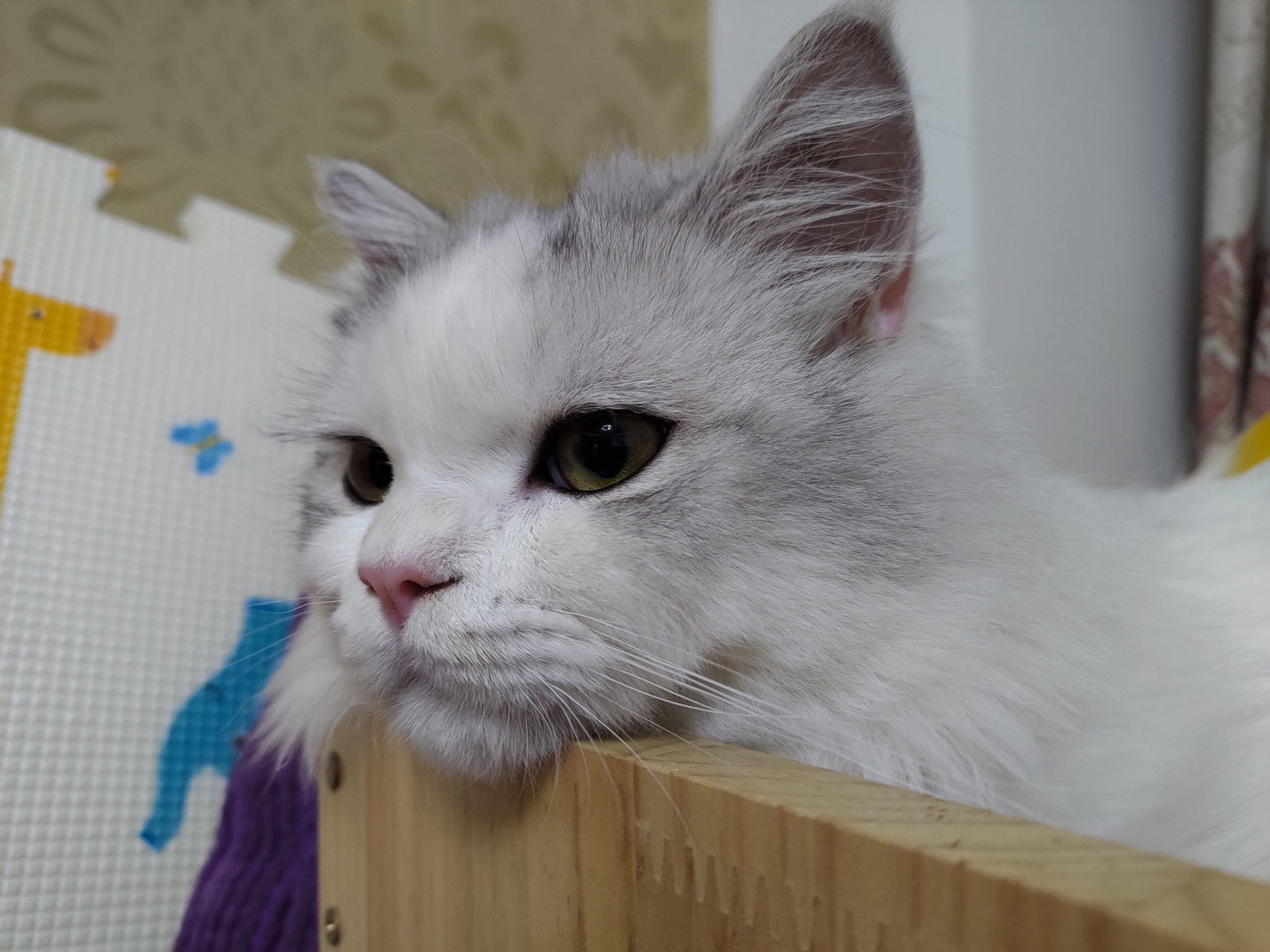 华硕rog2顶配开箱,华硕rog2至尊版测评