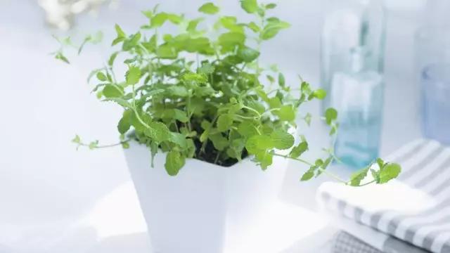 语文文学常识大全最全,语文文学常识总汇大全