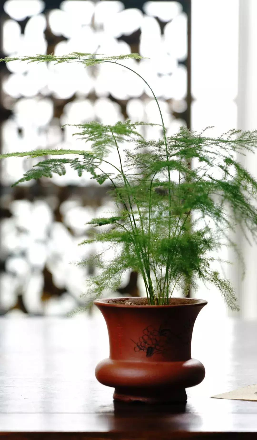 中国历史上最高水平的15首古诗词，每一首都是千古绝唱！