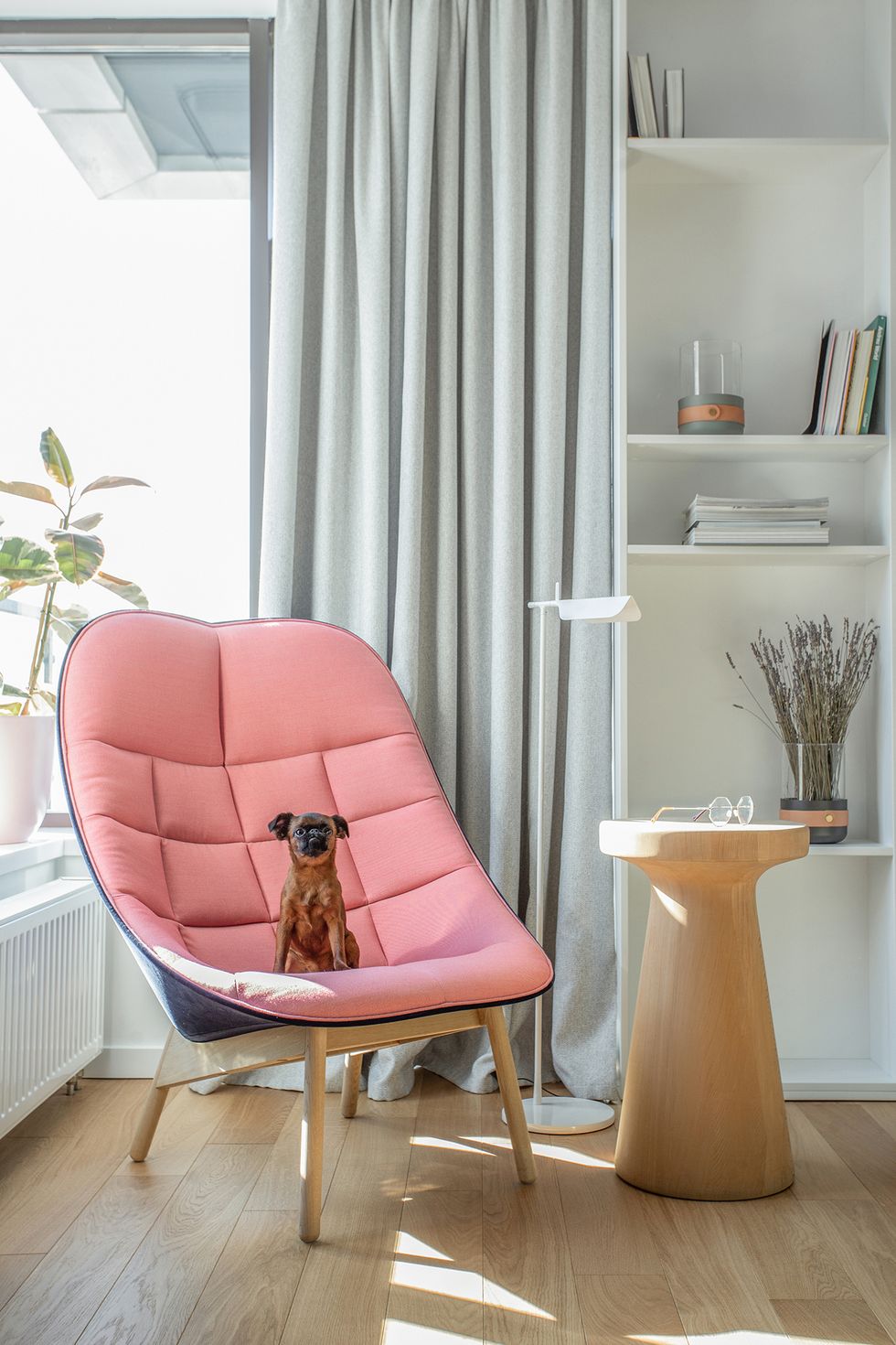 房子太大也是一种烦恼,房子太大装修太贵