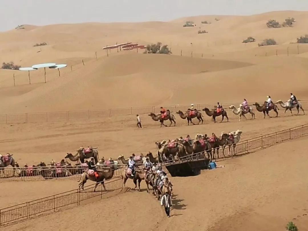 宁夏——我的第二故乡