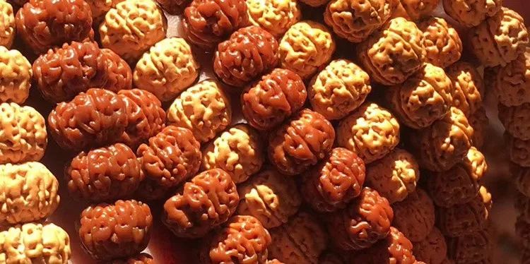 小金刚菩提梅花纹路什么价位,小金刚菩提什么纹路的最好