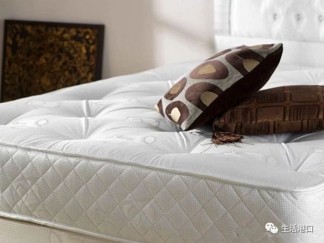 一招教你家庭清洁小妙招,10个家庭清洁小技巧超实用