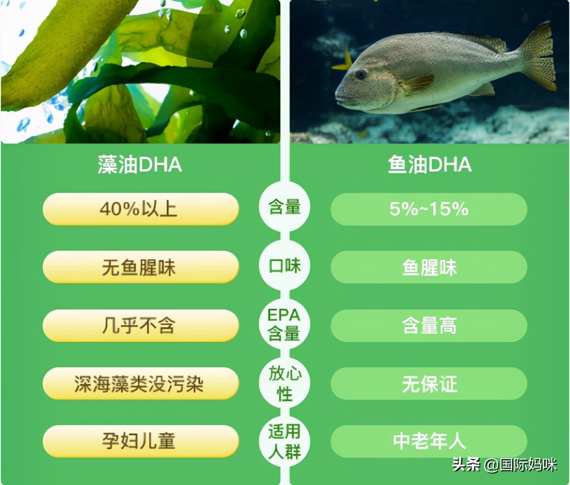 一岁宝宝dha平价,dha双十一必买清单