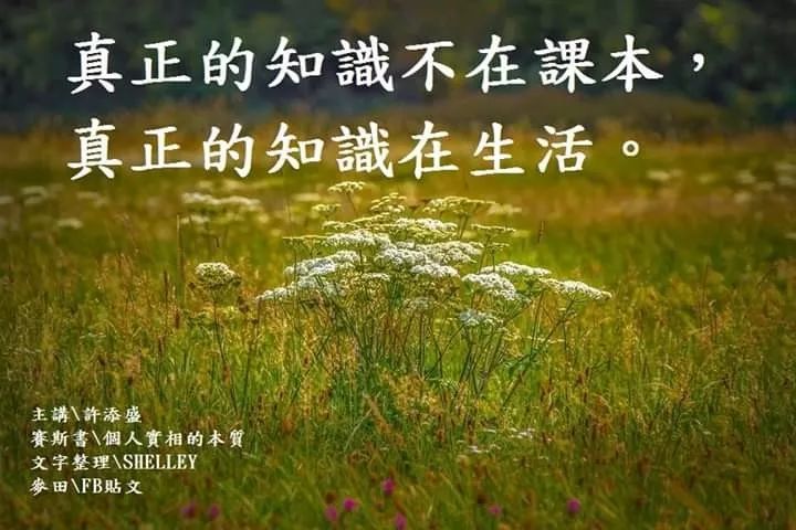盆栽百香果的养护方法和技巧,百香果要怎么养才会开花