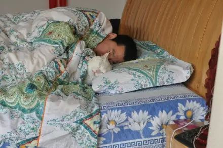 冲动下养猫，你和你的猫现在是怎样的生活？