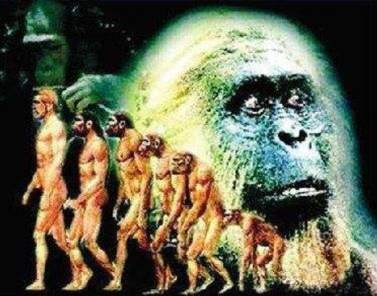 探险家活捉野人女孩完整版,欧洲野人女孩临终遗言