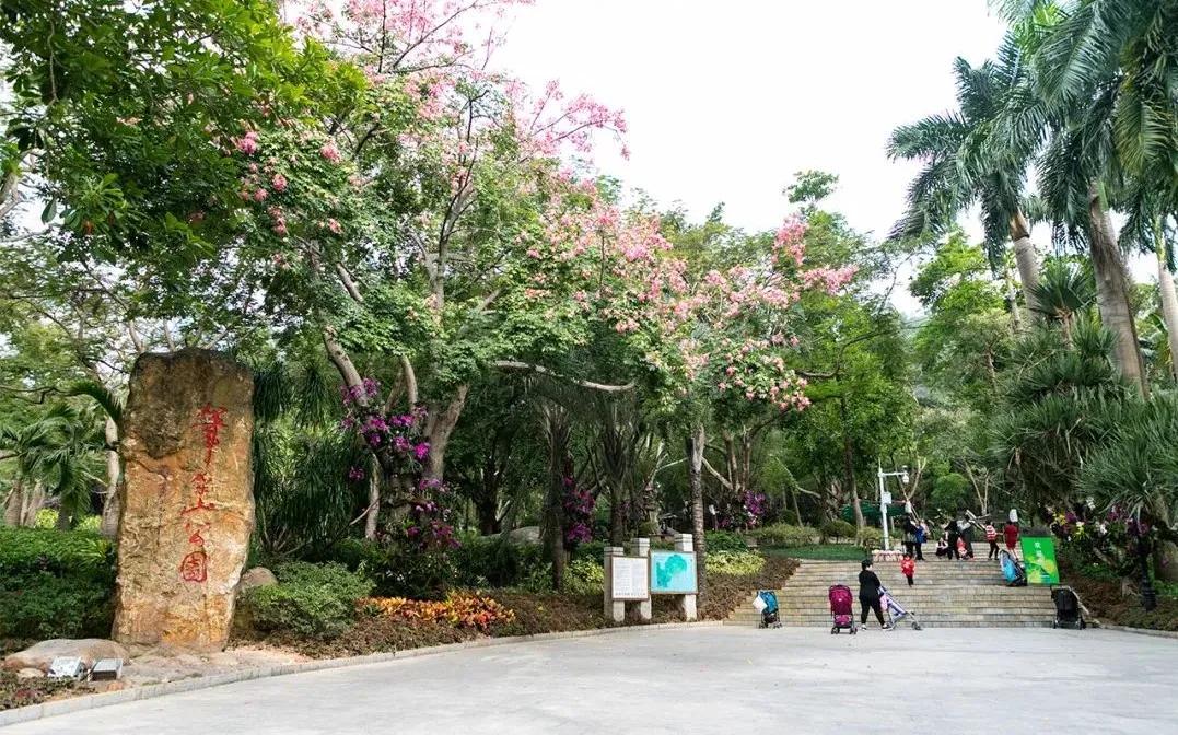 深圳值得去的地标,深圳值得去的景点排行榜