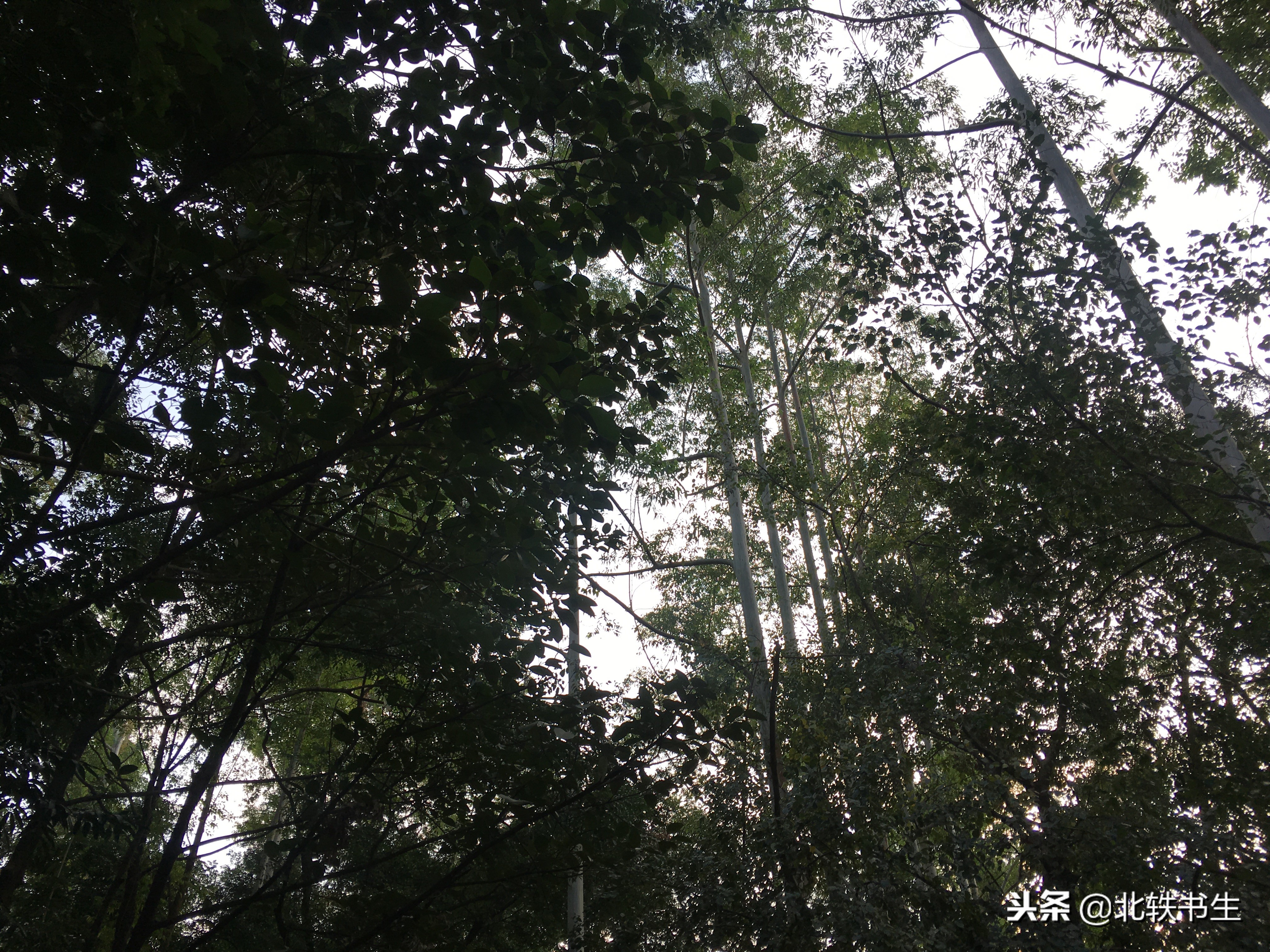 广州值得打卡的免费景点,广州天河必打卡的景点