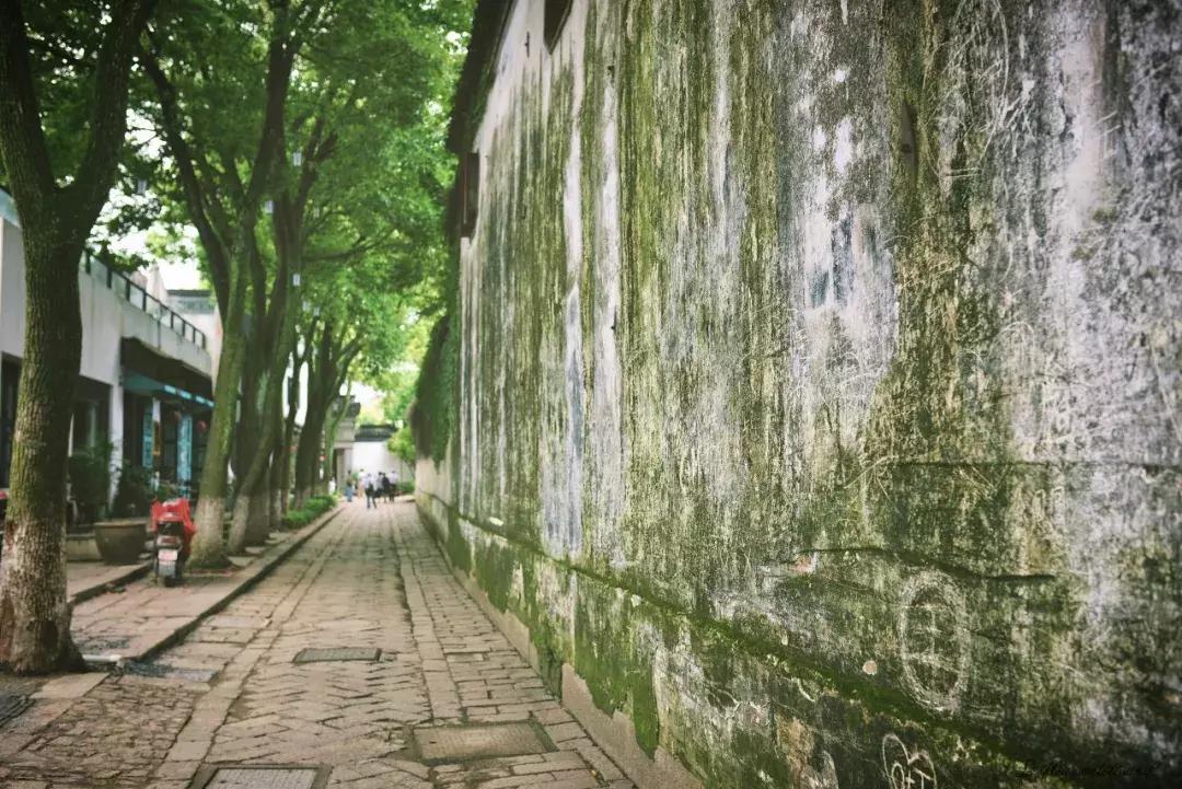 江苏的古镇有哪些值得去看看,江苏最值得打卡的十大古镇