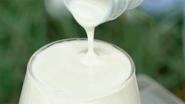 千万网红推荐的牛奶真的好喝吗,网红最好喝的纯牛奶