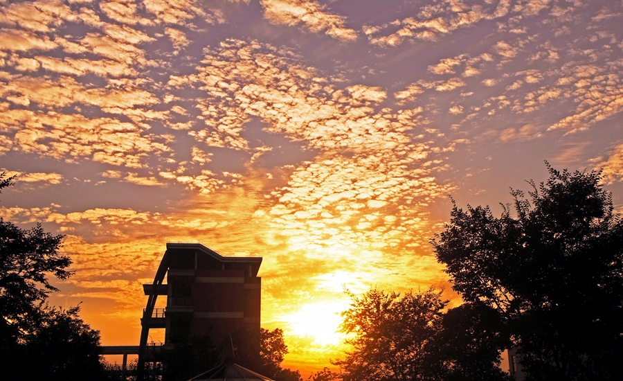 感恩亲和,感恩与人为善