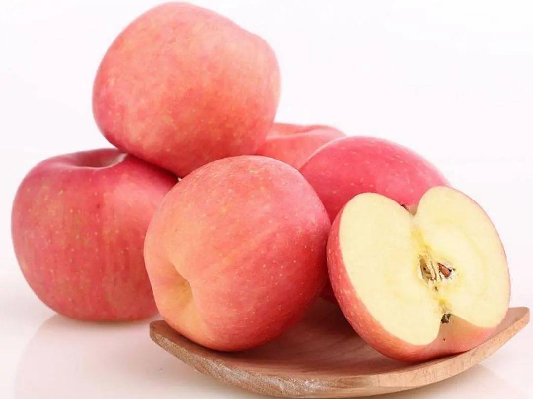 狗狗严重掉毛什么原因怎么治疗,狗狗掉毛严重是什么原因怎么解决