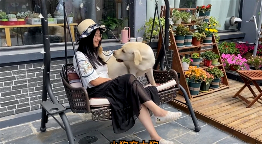 花8万改造北京小院,北京姑娘214天改造小院