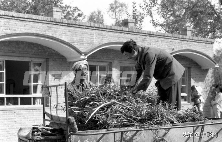 榆林市镇川镇老照片 (榆林市卫校老照片)