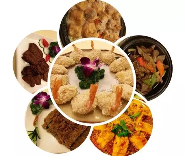 从化财富温泉度假酒店拍照,从化温泉财富酒店