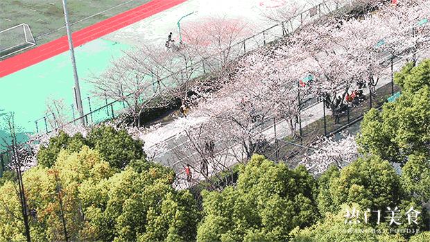 生日当天上海免费景点,上海网红打卡地点景点免费