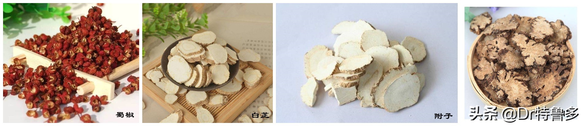 读完短文你明白了什么,膏药的原理讲解