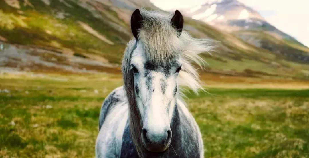 关于音乐治疗你知道多少？冰岛后摇乐队SigurRós告诉你