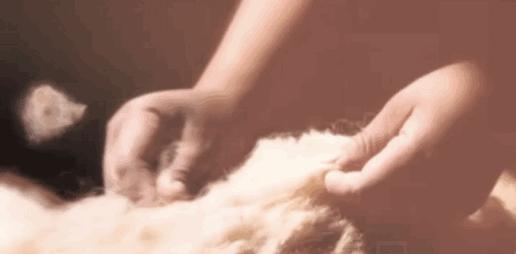 春节直播涨粉100万，一条冰丝裤月售3万条，这些中小商家凭什么？