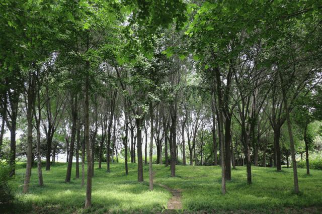 大局已定的反转,大局已定开始扭转乾坤