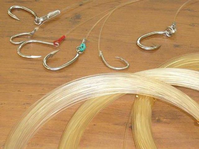 钓鱼挡口是指子线还是主线,钓鱼新手入门细节