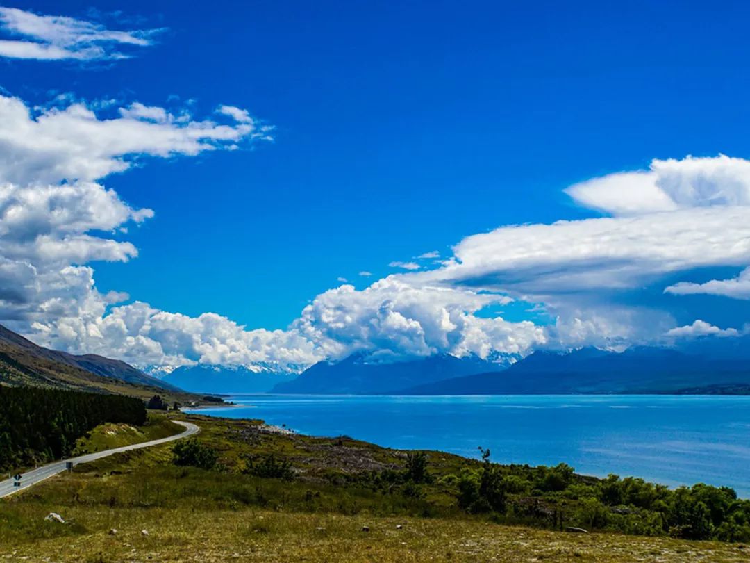 伊利新西兰牛奶,伊利未来牛奶谷基地