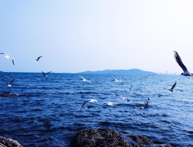 一个男人太老实有几种原因,男人为什么不能太老实