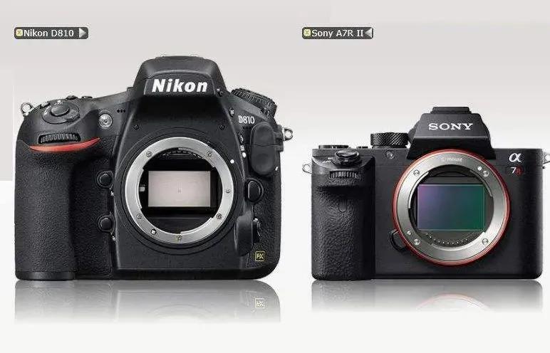 2020年值得入手的单反微单 (微单时代单反相机还值得购买吗)