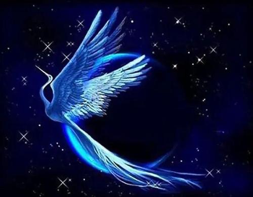 旦增尼玛第一次唱中国新歌,旦增尼玛唱最炫民族风