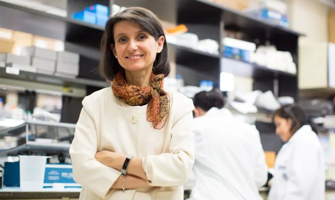 治疗阿尔茨海默病最新研究,目前抗脑衰的研究成果