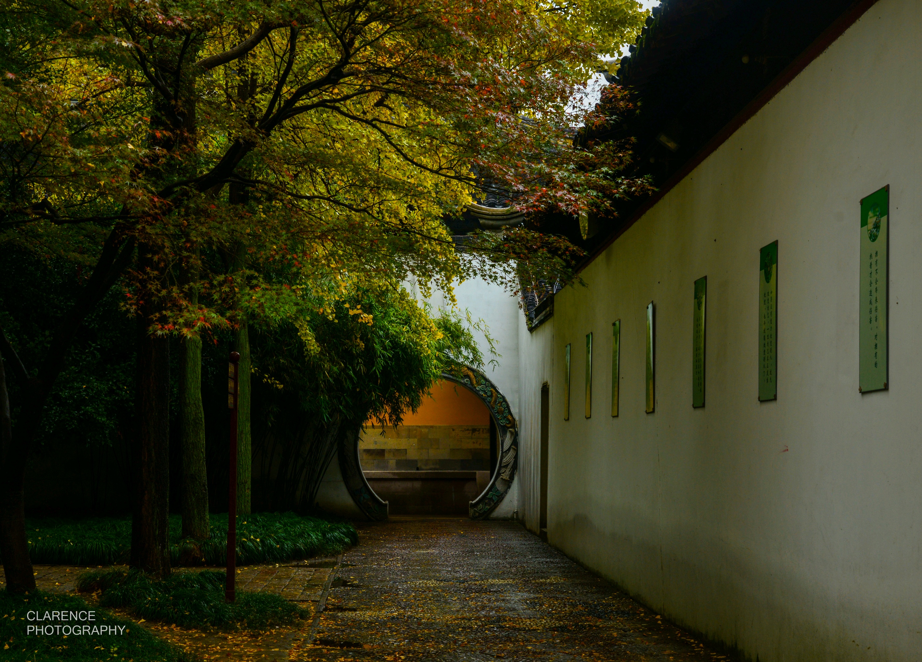 正投简历的快看过来！这里有个神仙岗位，业绩“随缘”环境绝美