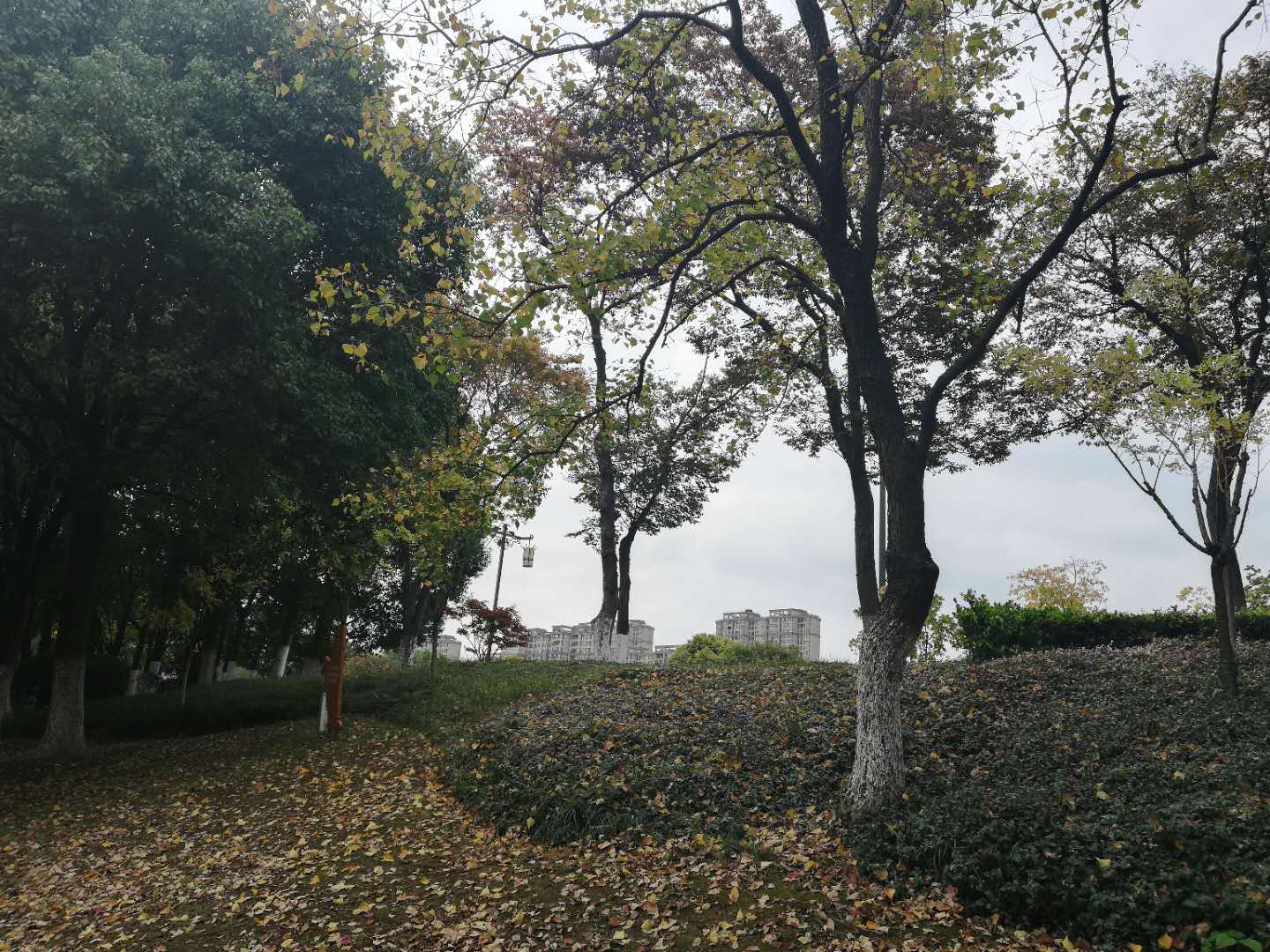 徒步无锡古运河寻找美景,无锡最美沿太湖路线