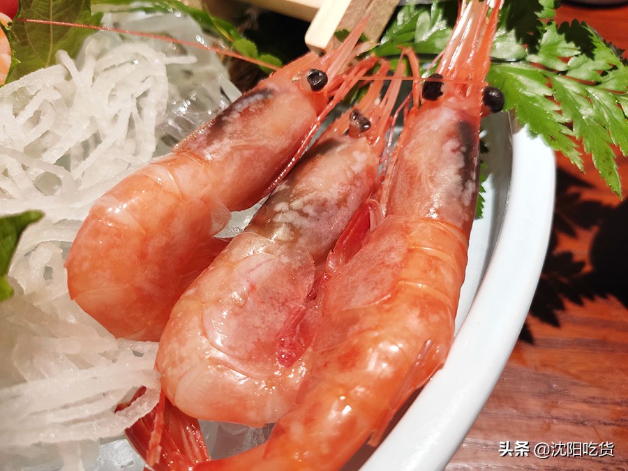 日本海鲜刺身怎么吃,各种各样的大海鲜刺身