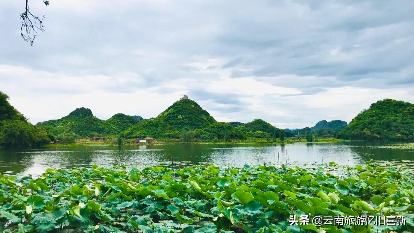 普者黑自驾游攻略,自驾云南普者黑景区攻略