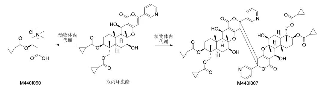 英威双丙环虫酯可杀灭哪些虫,英威双丙环虫酯杀虫剂