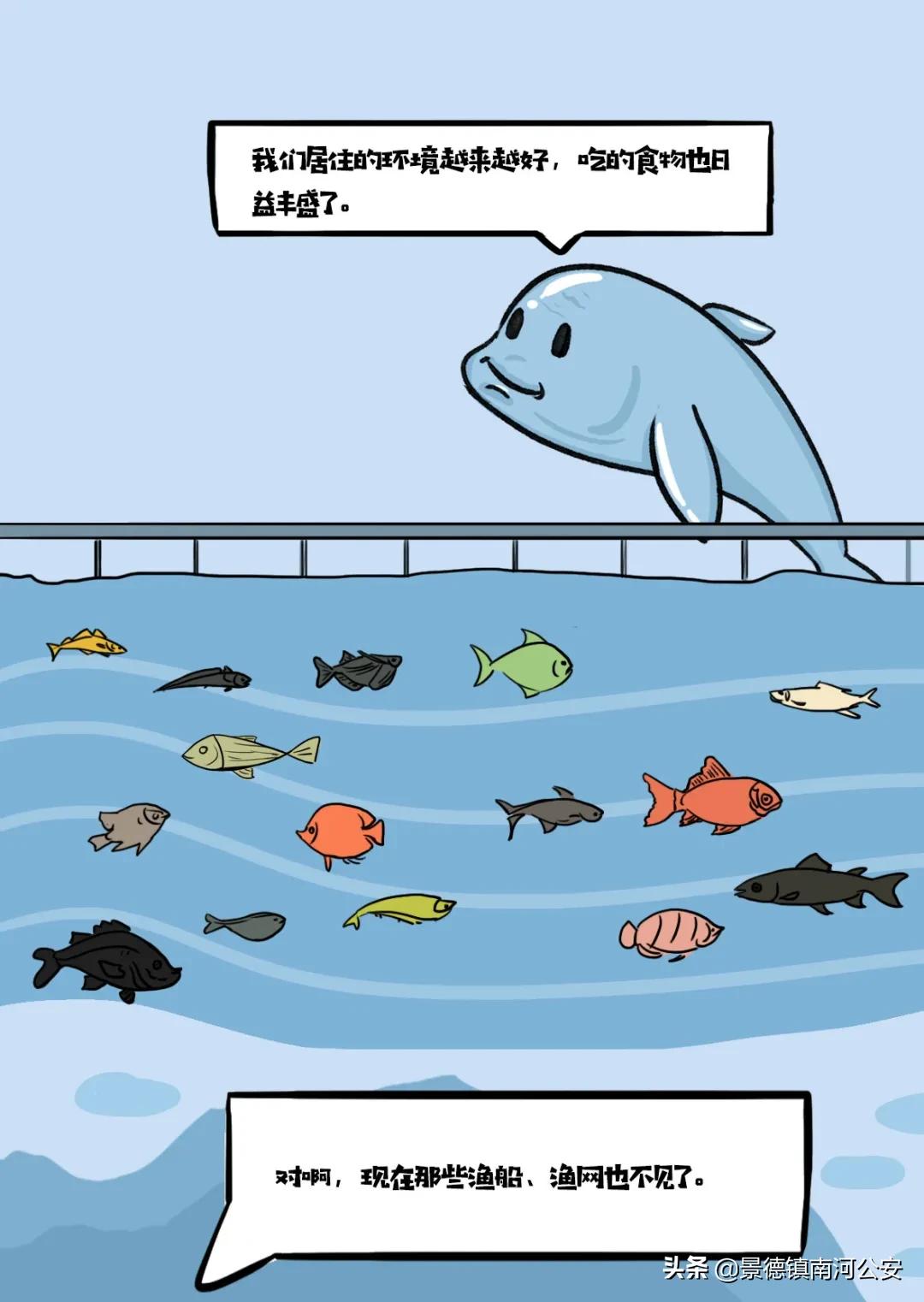 赣江一江两岸视频,赣州赣江最新视频