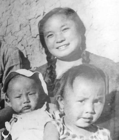 陈布文和灰娃结婚后情况,陈布文与灰娃是什么关系