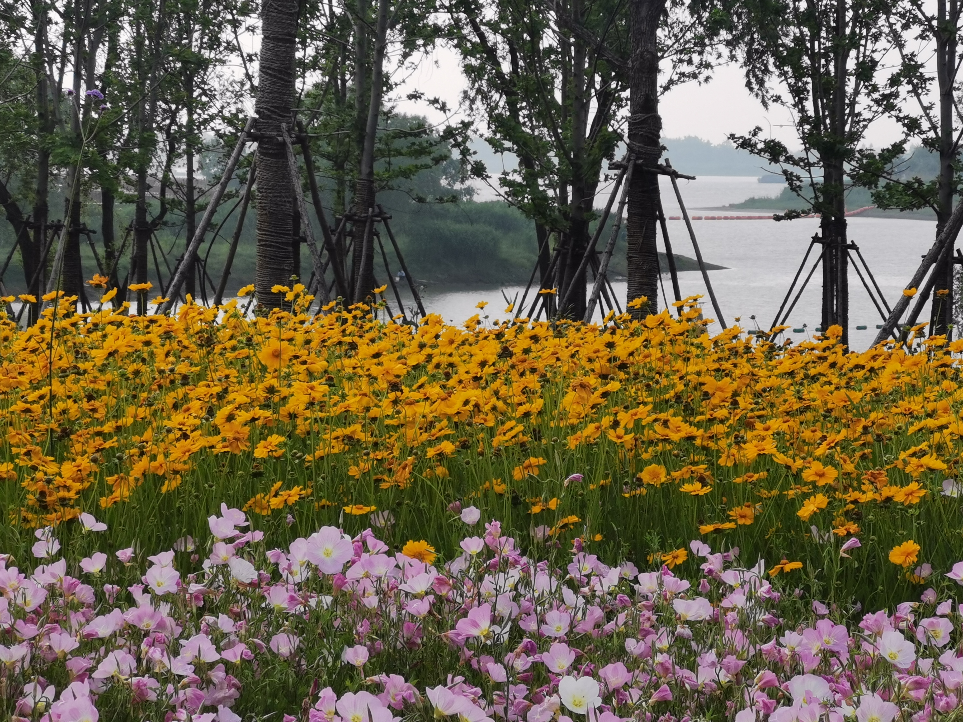 曾经的脏乱差变成了现在的新景观,从面目全非到焕然一新