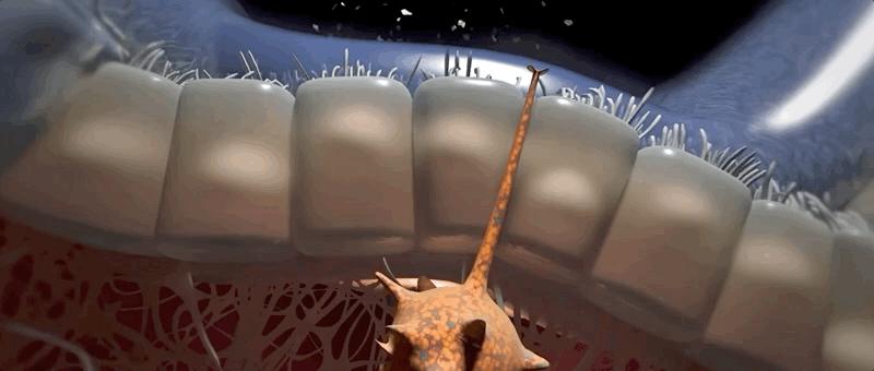 哮喘的发病原理,哮喘科普文章作品简介